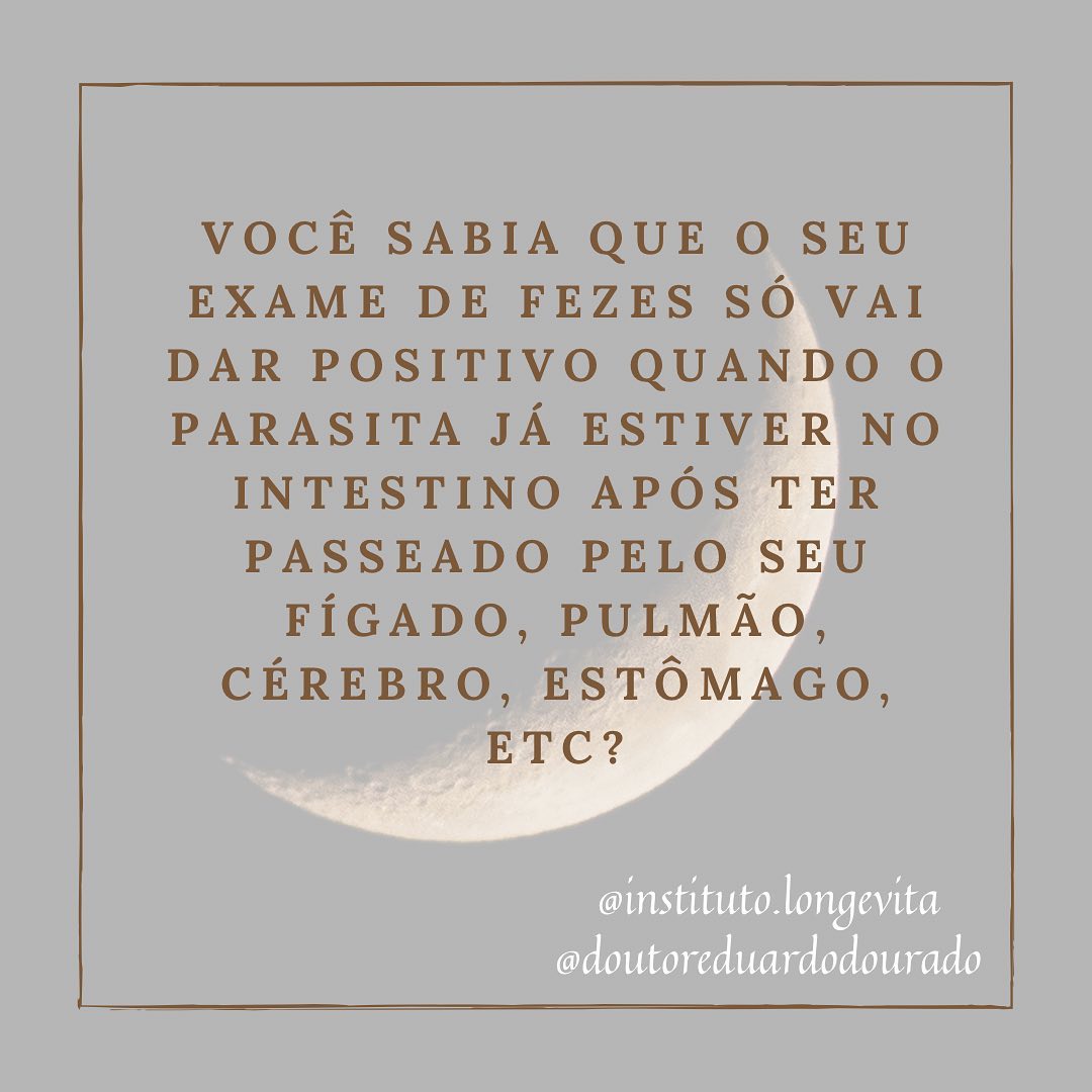 Snapinsta.app_342160679_1307130333174965_1257369741735004917_n_1080